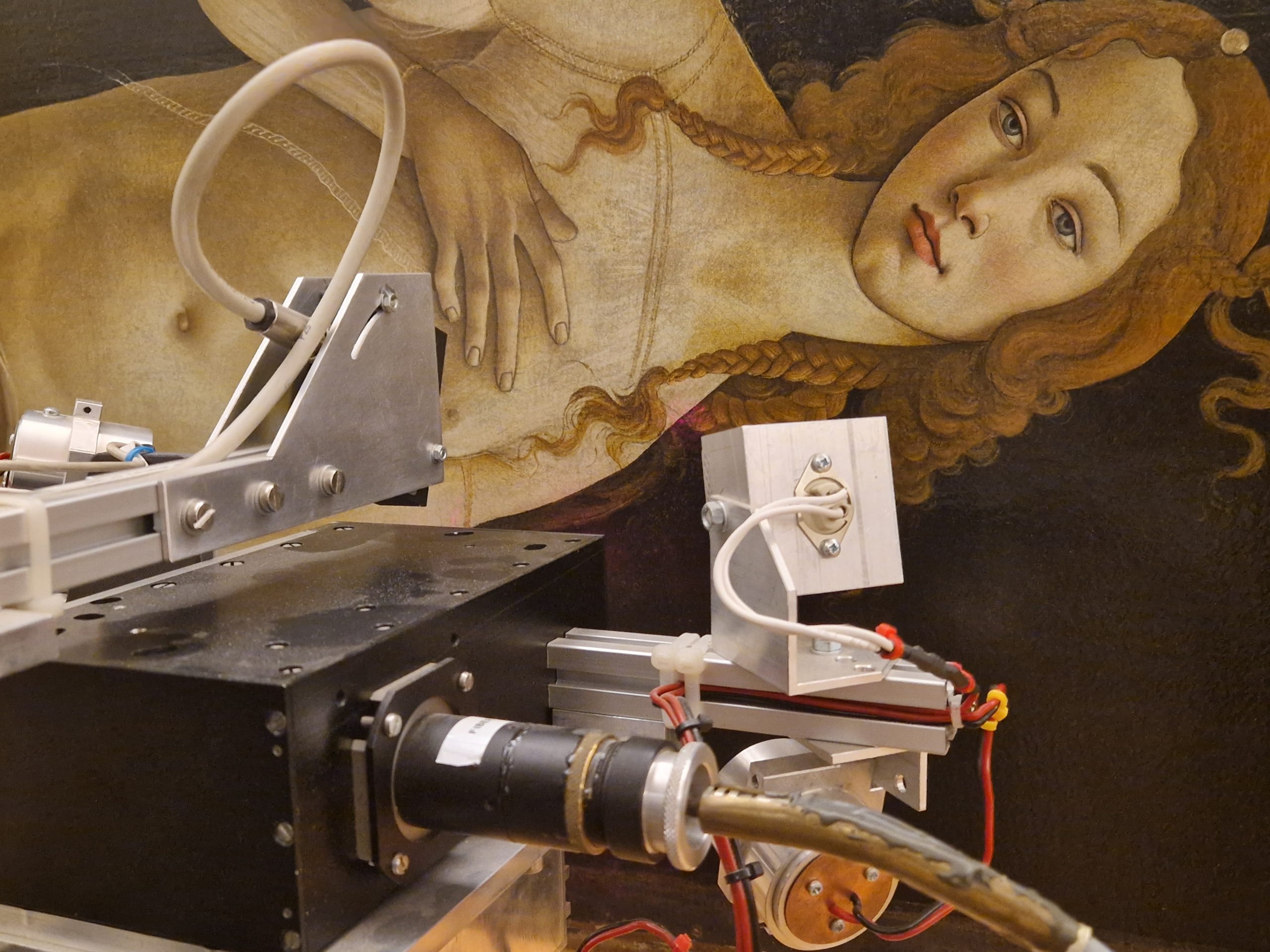 Analisi diagnostiche VIS NIR sulla Venere di Botticelli ai Musei Reali